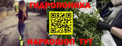 кокс Ливны