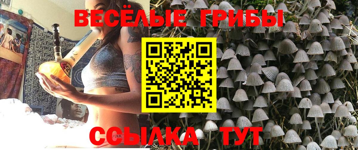 Галлюциногенные грибы Psilocybe Ижевск